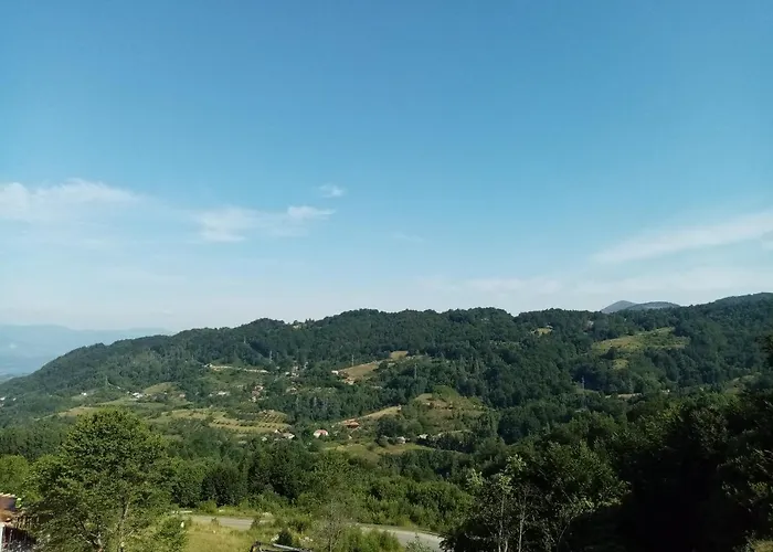 Pcelica L15 Milmari Apartment Kopaonik